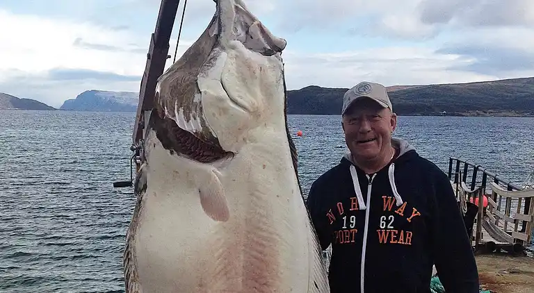 Holiday home in Karlsøy