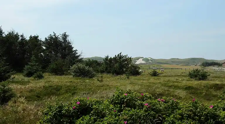 Holiday home in Haurvig