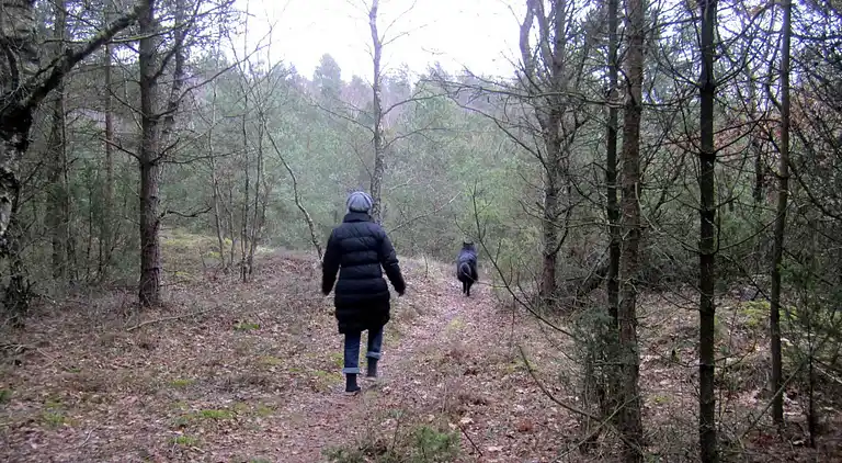 Maison de vacances en Helberskov Strand