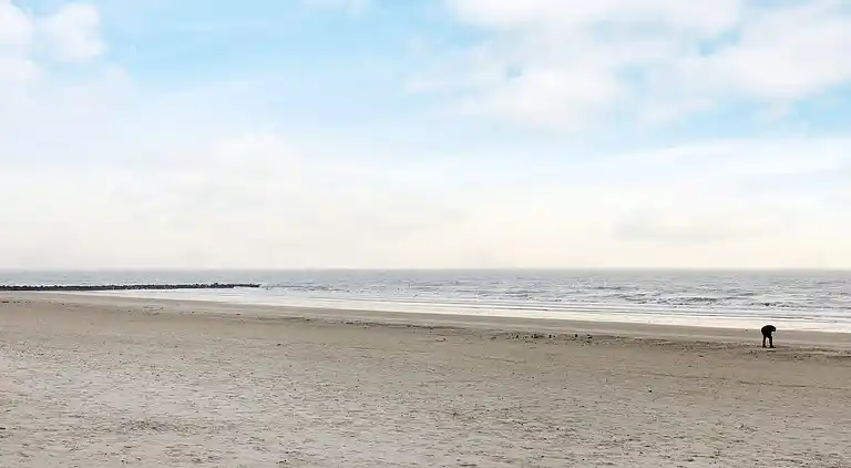 Vakantiehuis in Blåvand