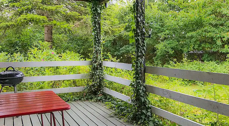 Feriebolig i Ebeltoft