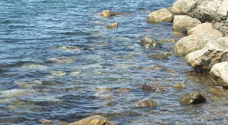 Feriebolig i Tjörn S