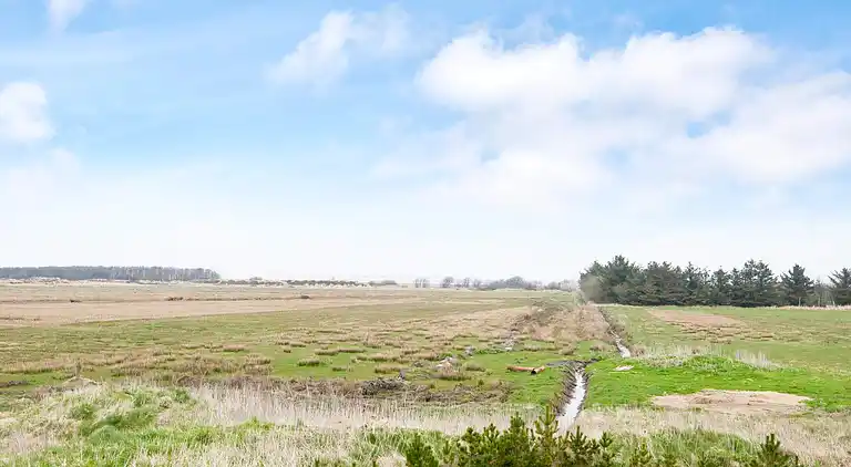 Feriebolig på Fanø