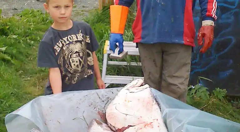 Holiday home in Karlsøy