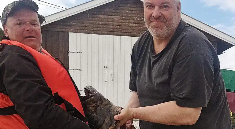 Holiday home in Karlsøy