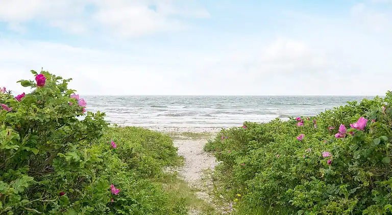 Holiday home in Knebel