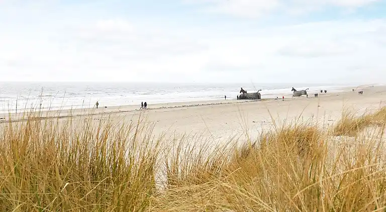Vakantiehuis in Blåvand