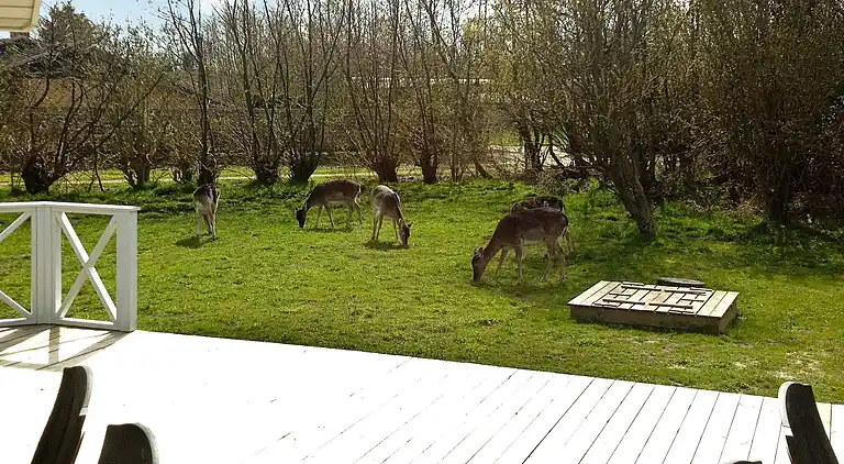 Holiday home in Blåvand