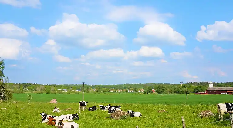 Sommerhus i Mariestad Ö