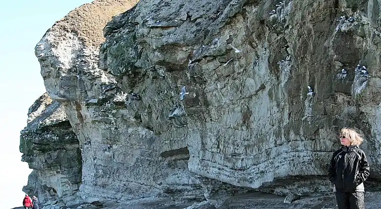 Casa vacanze in Lild Strand