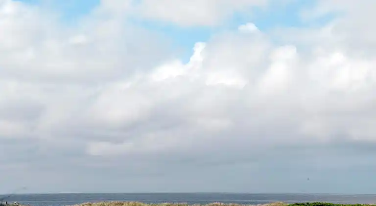 Feriebolig i Blåvand