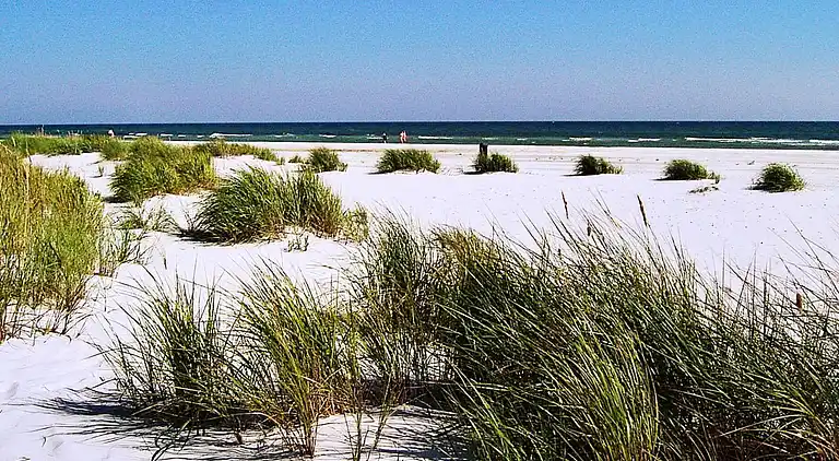 Feriebolig i Dueodde