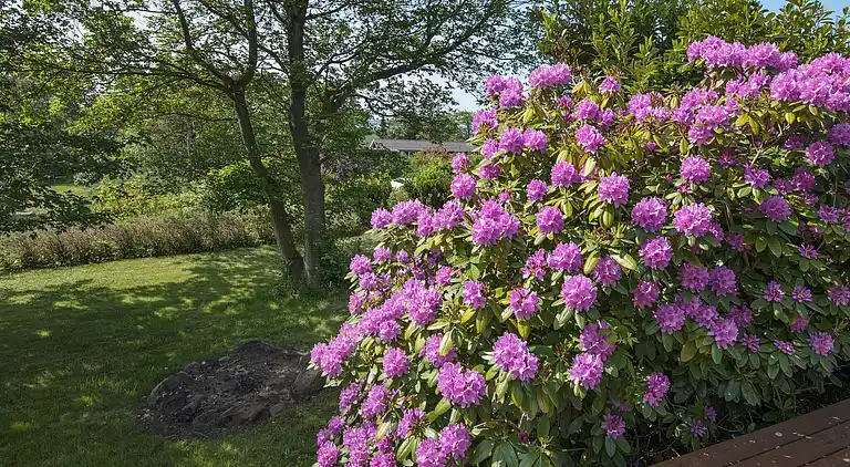 Holiday home in Knebel