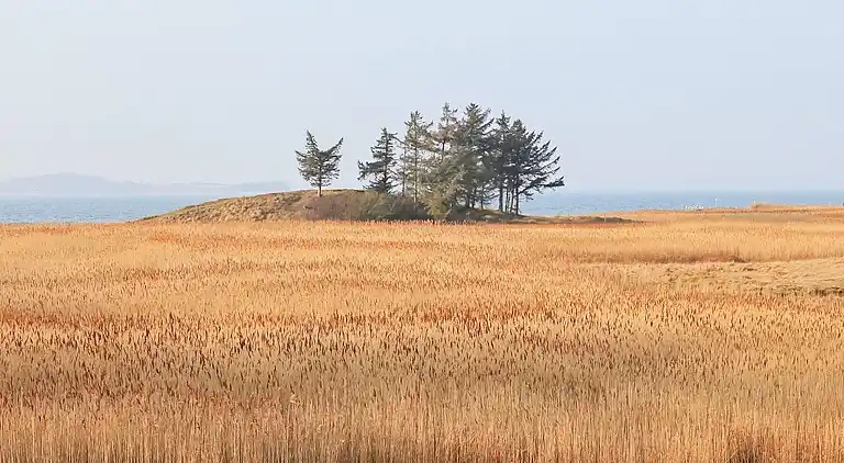 Sommerhus i Millinge