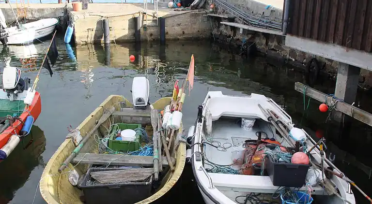 Feriebolig i Snogebæk