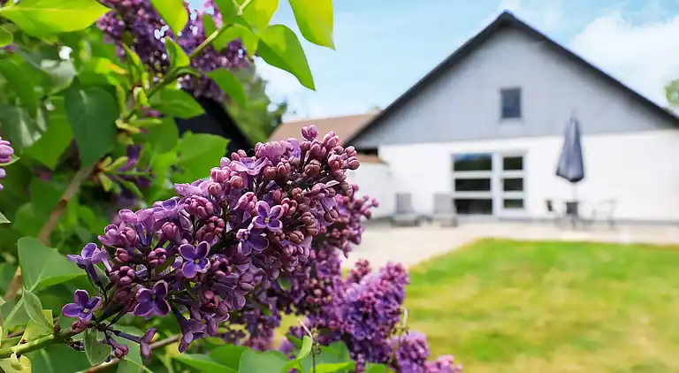 Holiday home in Hals