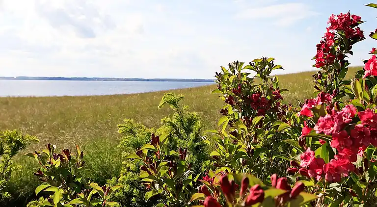 Holiday home in Tranekær