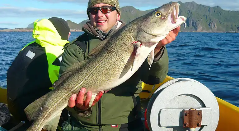 Holiday home in Ballstad