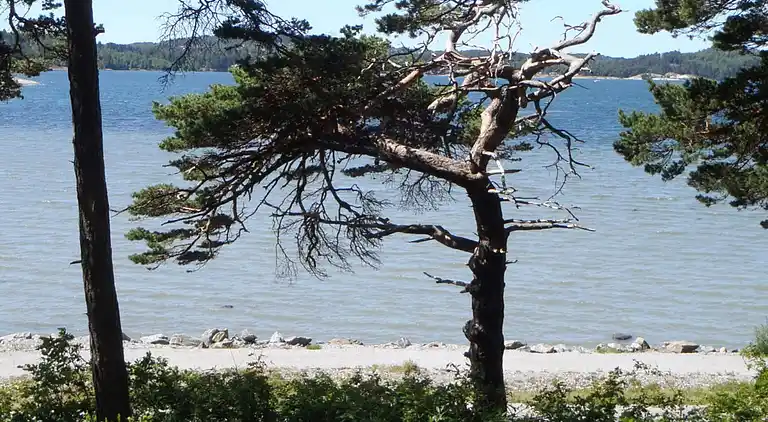 Feriebolig i Stenungsön