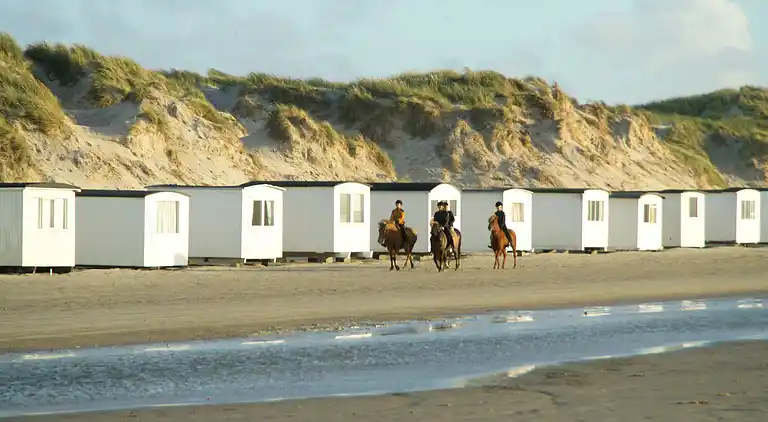 Holiday home in Saltum