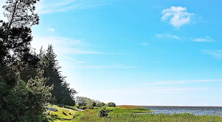 Holiday home in Ulfborg