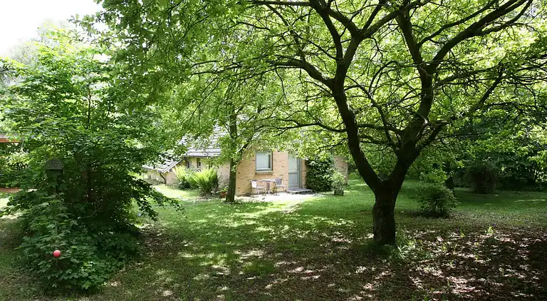 Holiday home in Ellinge Lyng