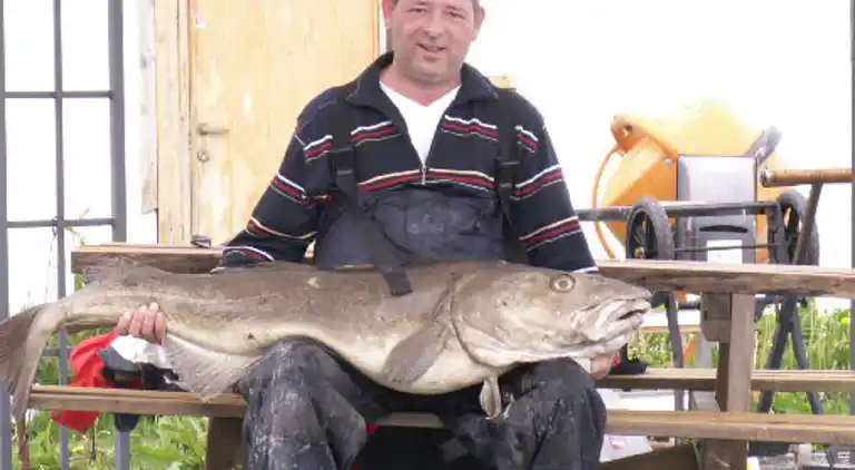 Holiday home in Karlsøy