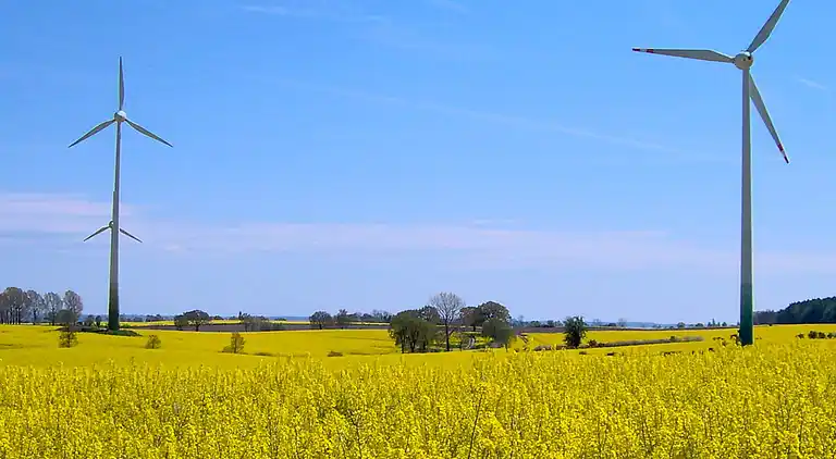 Semesterbostad i Kattenberg