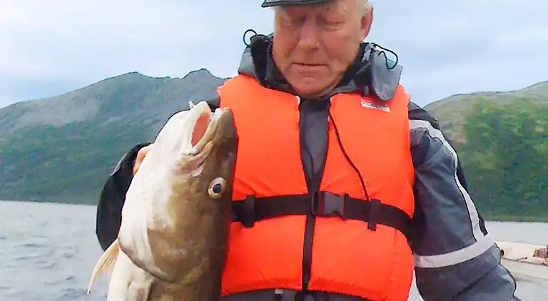 Holiday home in Karlsøy