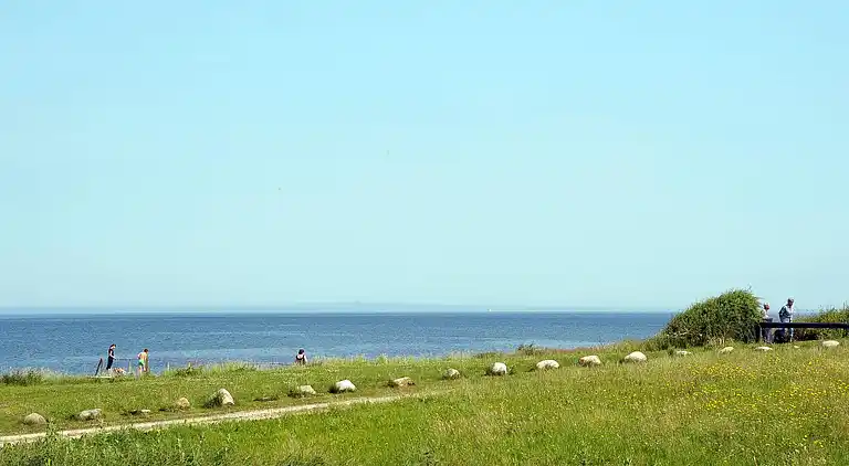Sommerhus ved Skåstrup Strand