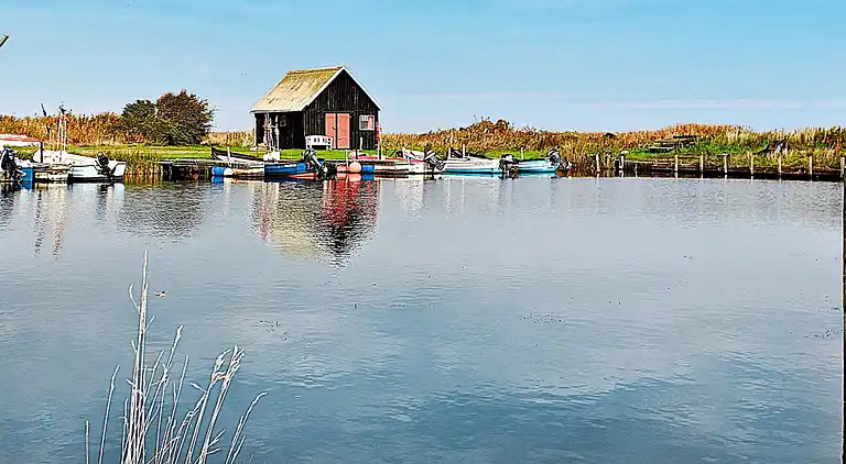 Holiday home in Ulfborg