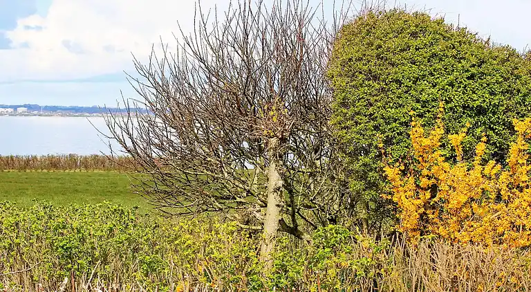 Holiday home in Vinderup