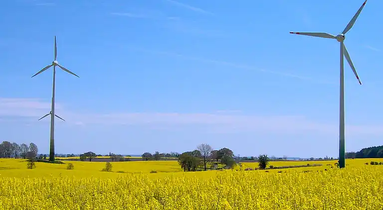 Holiday home in Kattenberg