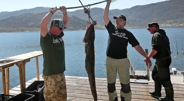 Vakantiehuis in Sande