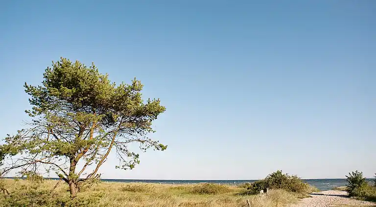 Sommerhus i Kattenberg
