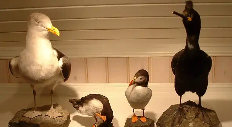 Holiday home in Kalvåg