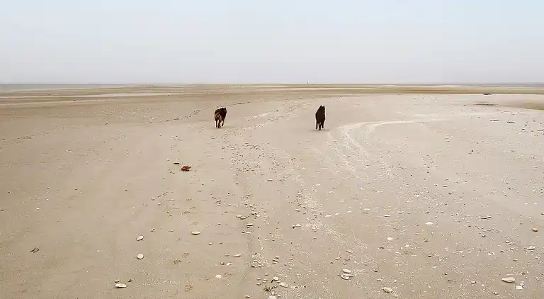Maison de vacances en Helberskov Strand