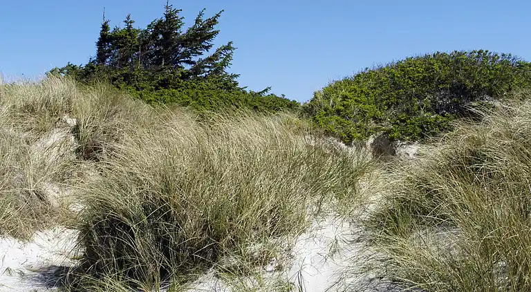 Holiday home in Ristinge