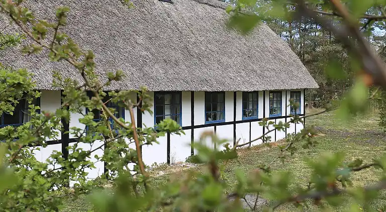 Holiday home on Læsø Municipality