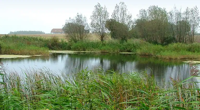 Holiday home in Humble