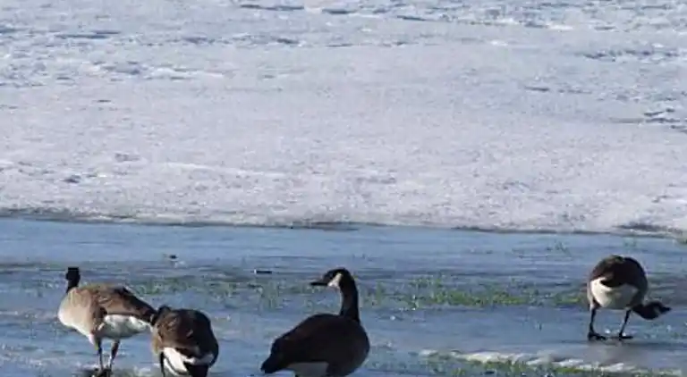 Holiday home in Hurup Thy