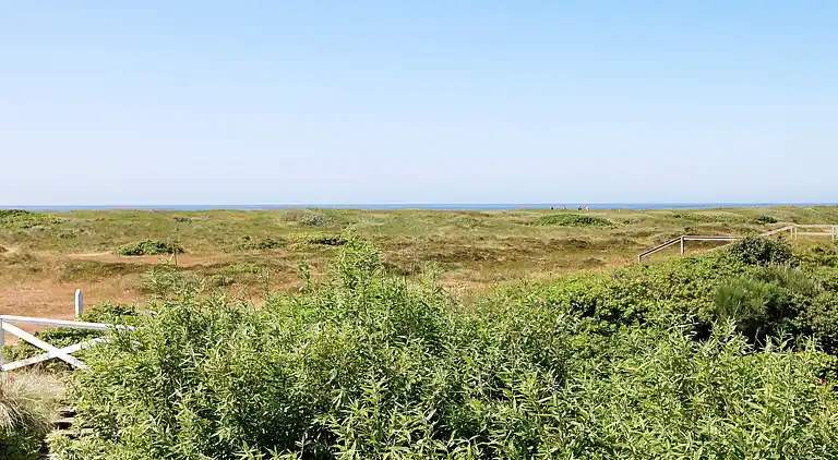 Feriebolig i Blåvand