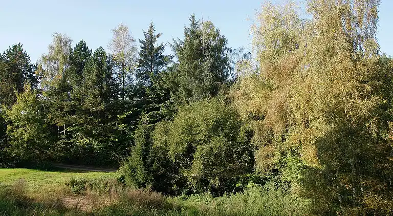 Sommerhus ved Vibæk Strand