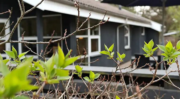 Holiday home in Fjerritslev