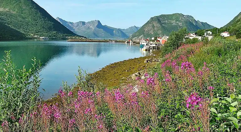 Holiday home in Sifjord