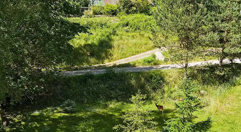 Sommerhus ved Vibæk Strand