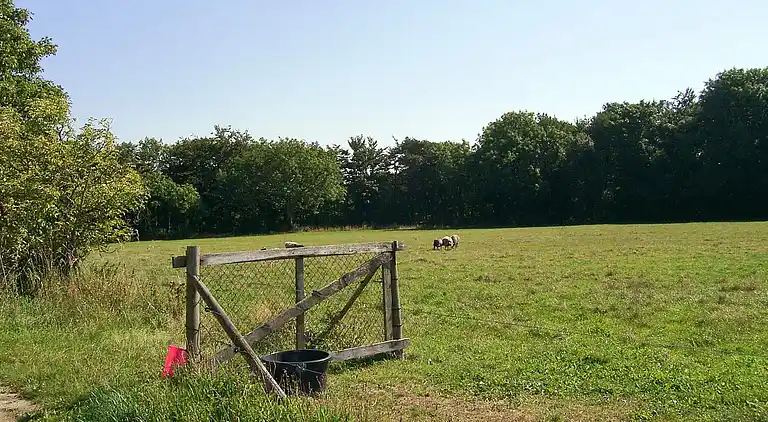 Ferienhaus in Aakirkeby