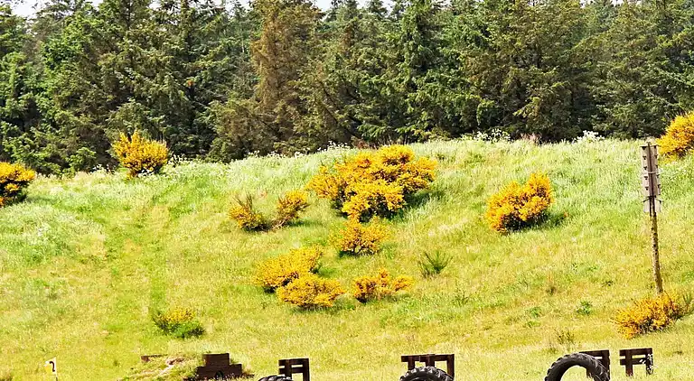 Holiday home in Brovst