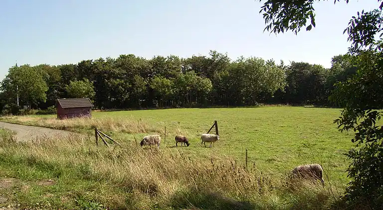 Ferienhaus in Aakirkeby