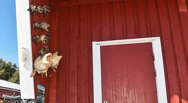 Feriebolig i Ørland